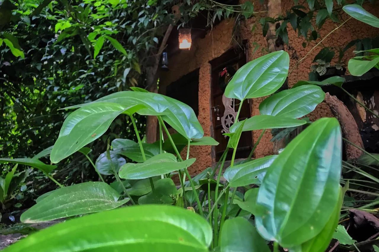 Earth House Sri Lanka Villa Neboda Exterior photo