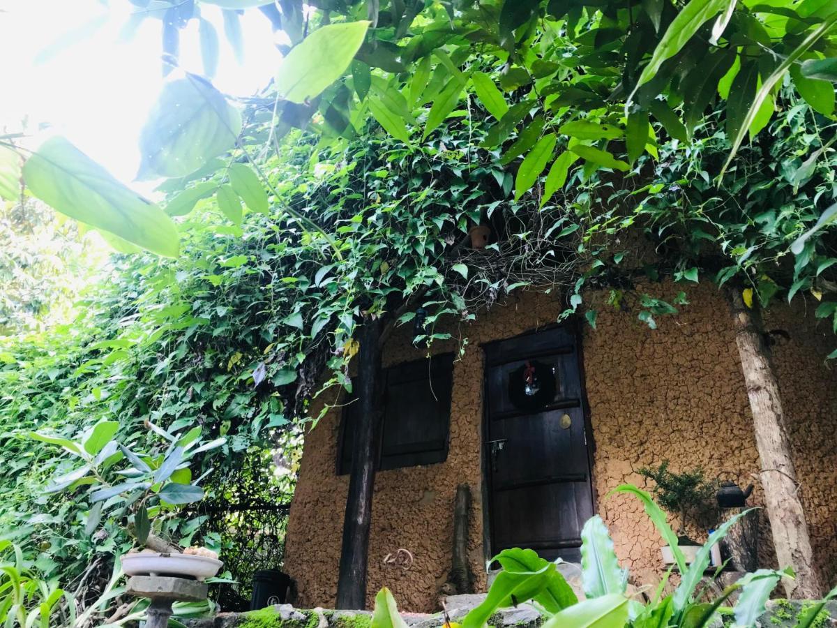 Earth House Sri Lanka Villa Neboda Exterior photo